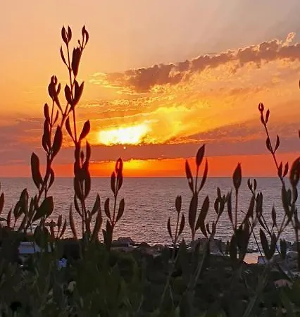Вилла Tramonti Di Gallura Portobello