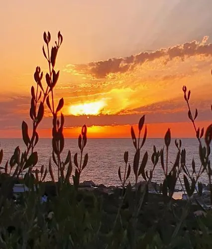Villa Tramonti Di Gallura Portobello